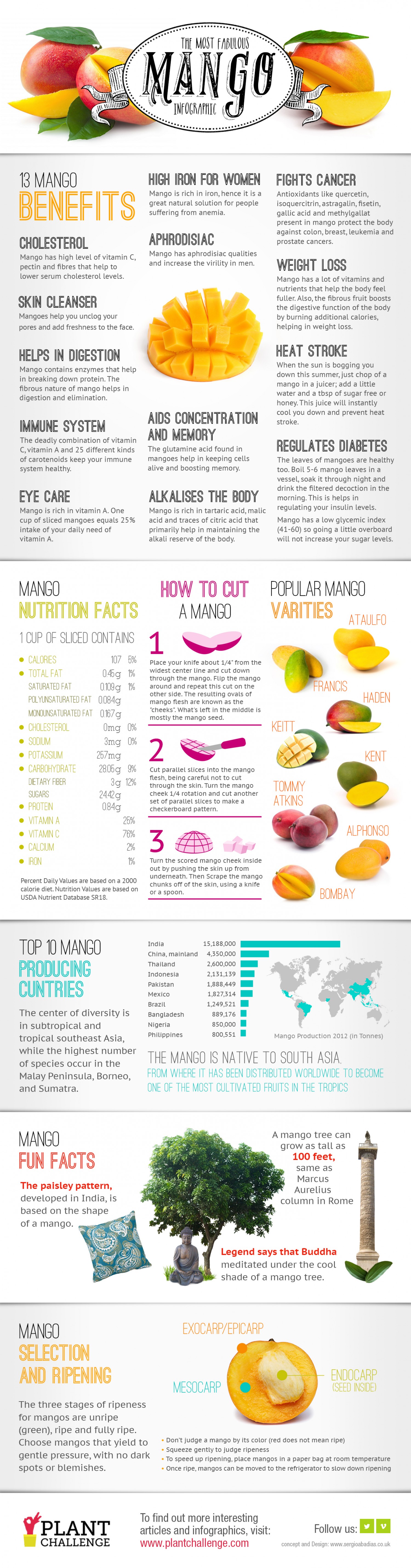 The Most fabulous 🥭 Mango🥭 Infographic