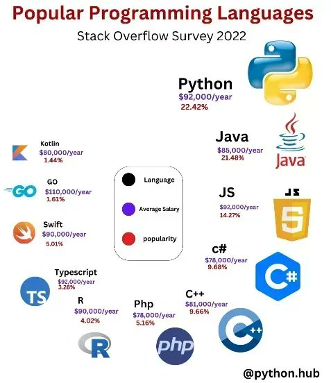 Popular Programming languages in 2022
