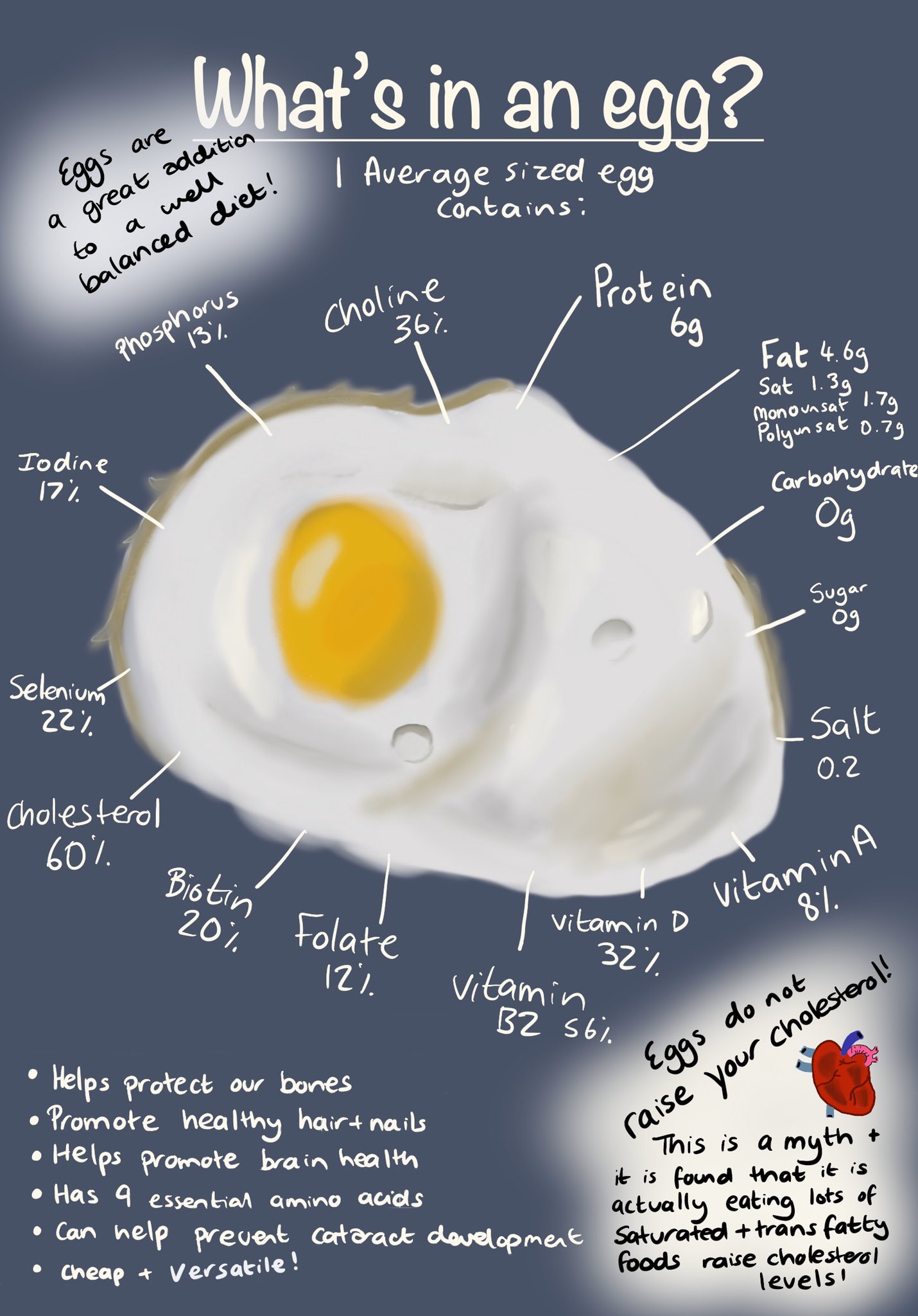 Egg Infographic