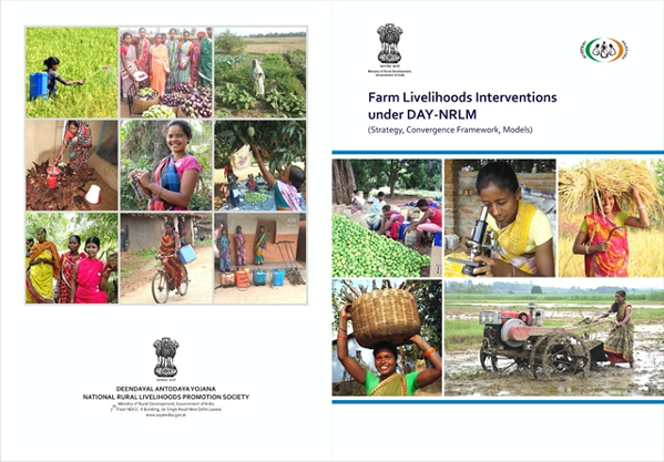 Farm Livelihood Interventions under DAY-NRLM