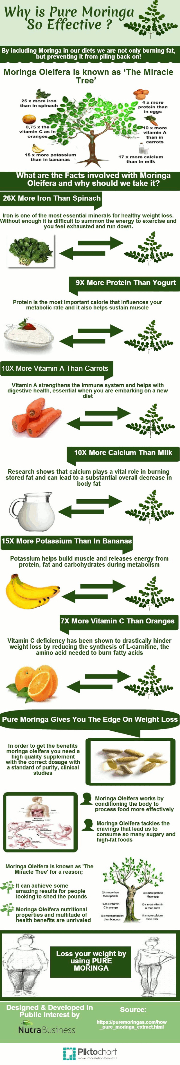 Pure Moringa is So Effective-Why?
