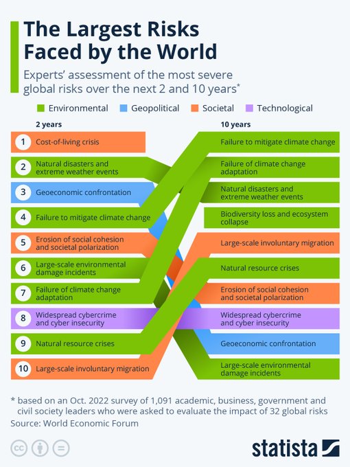 The largest Risks faced by the World 